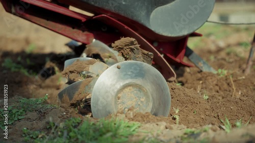 Rotating cultivator blades digging soil in garden