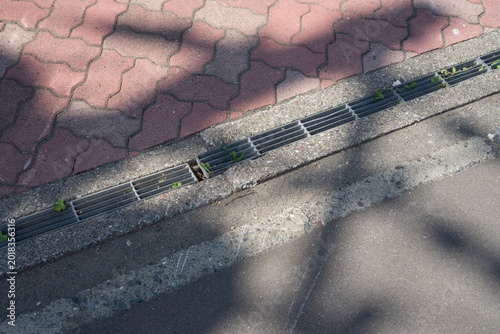 Bild auf Leinwand 歩道と側溝