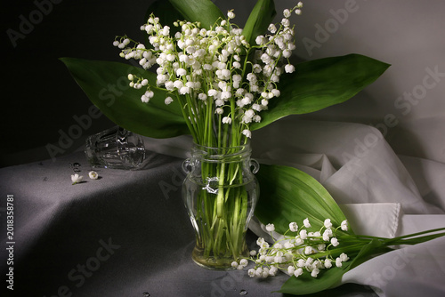 Photography Lilies of the Valley
