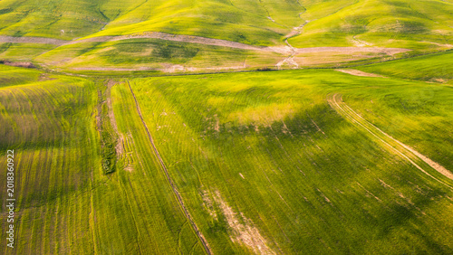 Green agricultural fields undulate across rolling hills, creating a textured rural landscape for tourism and nature exploration in Orcia valley, Pienza, Tuscany, Italy.