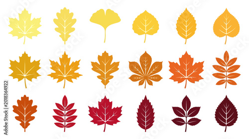 Set of colorful autumn leaves icons in flat style.
