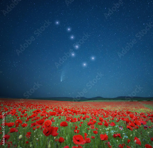 Cuadro en lienzo Surreal Night Landscape with Red Poppy Field under Big Dipper Constellation and