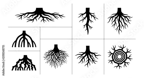 Schilderij op canvas Diverse Tree Root Systems Vector Set, Organic Growth Patterns, Natural Structure