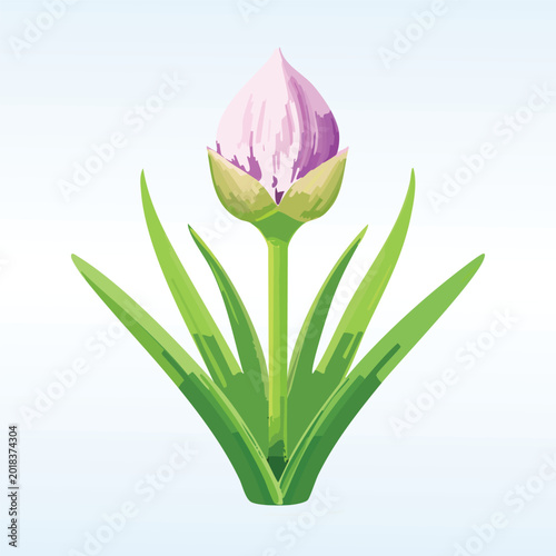Watercolor illustration of a single budding flower with green leaves isolated