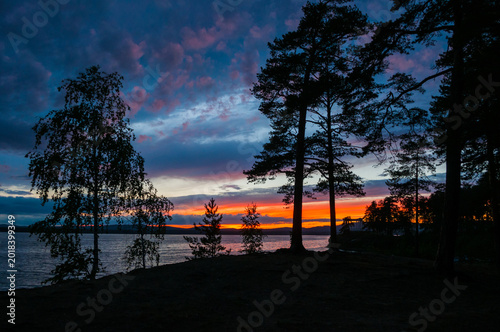 Photography Summer landscape, silhouettes of pine trees growing on the slopes on the backgro