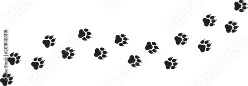 Foto tiger footprint traces, track, tracking