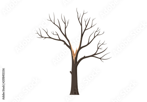 Striking Bare Tree with Split Trunk and Branching Silhouette.