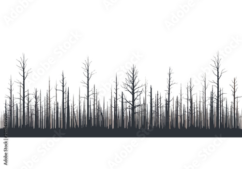 Foto Silhouette of a burnt forest landscape with bare trees.