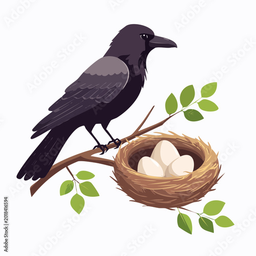 Raven perched on a branch with a nest of eggs