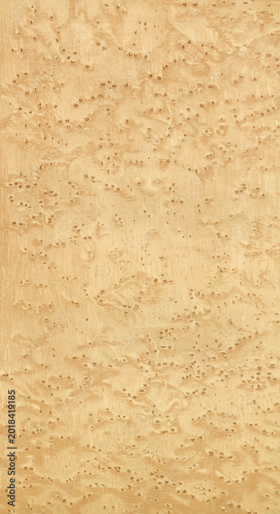Fototapeta premium Natural textured wood background in light color