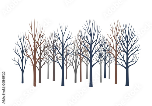 Konstfotografi Diverse Collection of Bare Winter Trees in a Forest.
