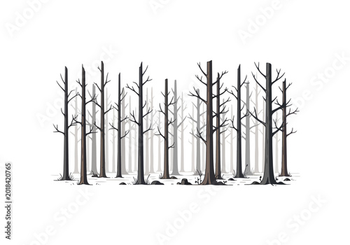 A stark forest of bare trees silhouetted against a white background.