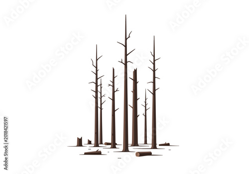 Photos Group of Dead Trees Standing Tall Against White Background.
