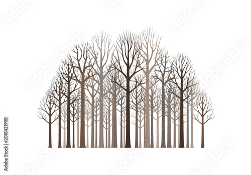 Obraz na płótnie Bare Trees in a Dense Forest Silhouette.