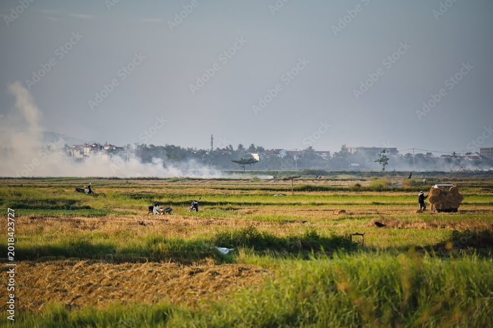 Fototapeta premium Mist and horizon in the Asian countryside