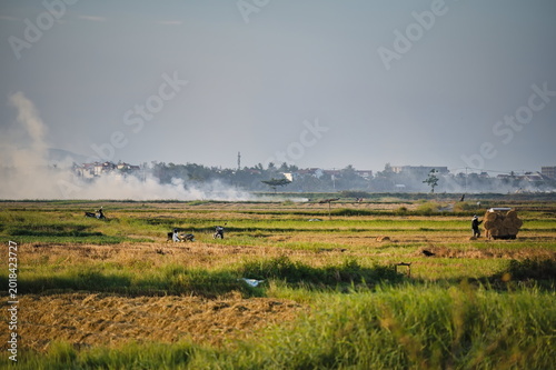Mist and horizon in the Asian countryside