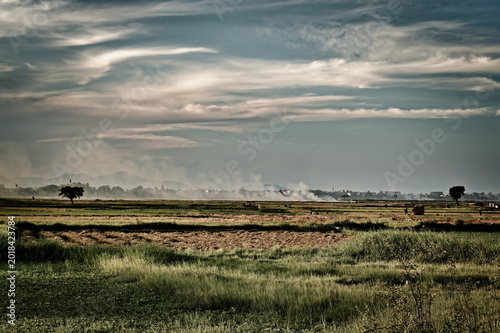 Mist and horizon in the Asian countryside