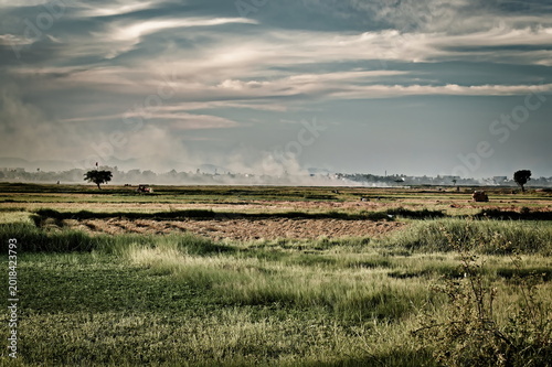 Mist and horizon in the Asian countryside