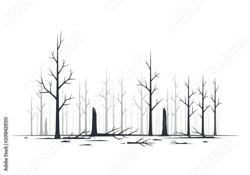 Bild auf Leinwand Desolate forest scene with bare trees and stumps.