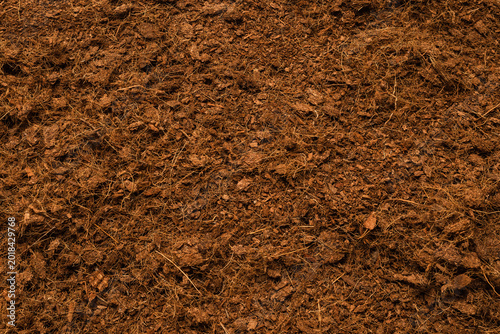 Coconut substrate background.