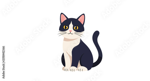 Cute Cartoon Tuxedo Cat Illustration