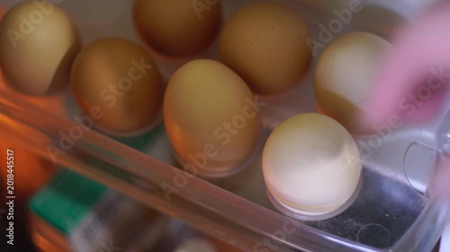 open topen the refrigerator and take the eggshe refrigerator and take the eggs