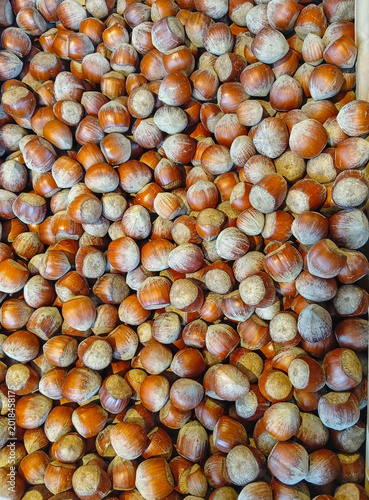 A large pile of hazelnuts in winter.
