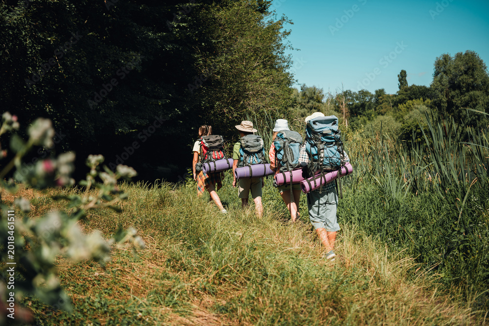 Naklejka premium Group of hikers backpacking along a grassy trail toward a shaded forest on a sunny summer day