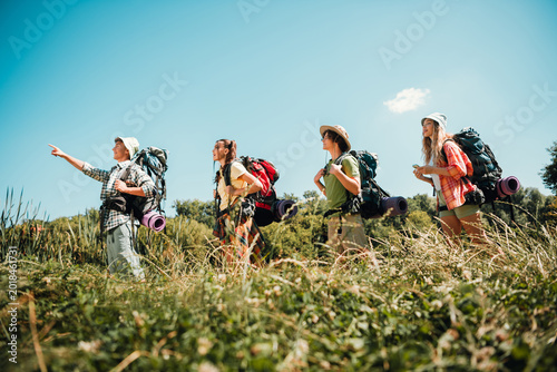 Tableau sur toile Four friends hiking through a grassy meadow carrying backpacks and camping gear