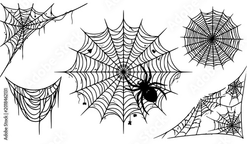 Bild auf Leinwand Halloween spiderwebs collection with black widow spider and decorative web desig