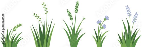 Botanical decorative elements collection flat vector illustration floral nature design artwork set concept