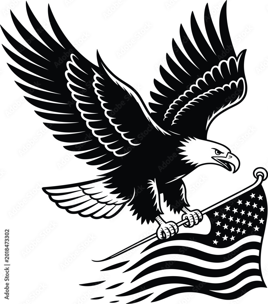 Obraz premium Black and white of a soaring eagle with wings spread wide