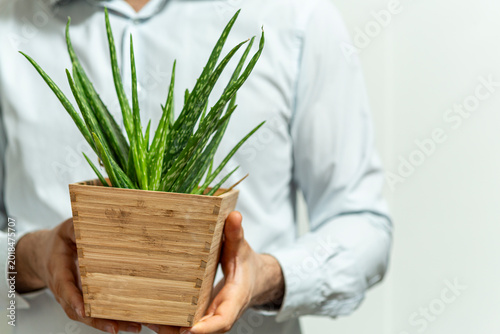 Man holding a healthy green...