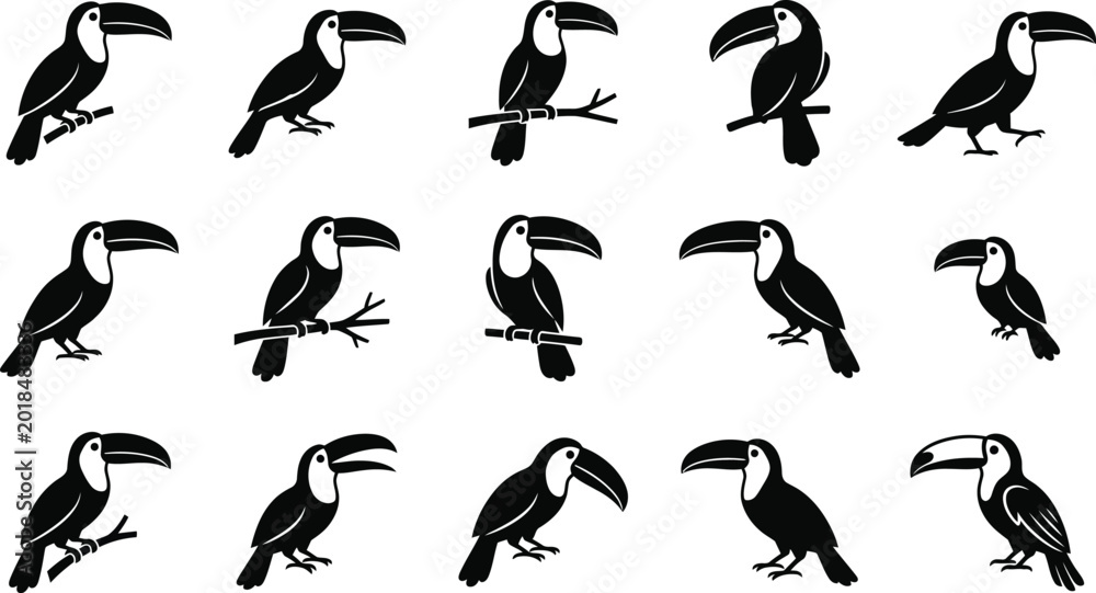 Fototapeta premium Black and white toucan silhouettes, 16 birds on branches, side profiles animals