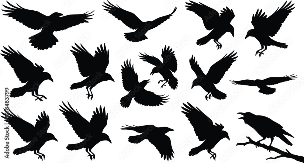 Obraz premium Black silhouettes of crows, ravens, or similar large birds in various flying and perched positions