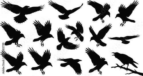 Obraz na plátně Black silhouettes of crows, ravens, or similar large birds in various flying and