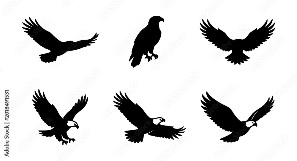 Fototapeta premium Eagle Silhouettes, Bird Icons, Wildlife Vector Graphics, Majestic Flight Poses