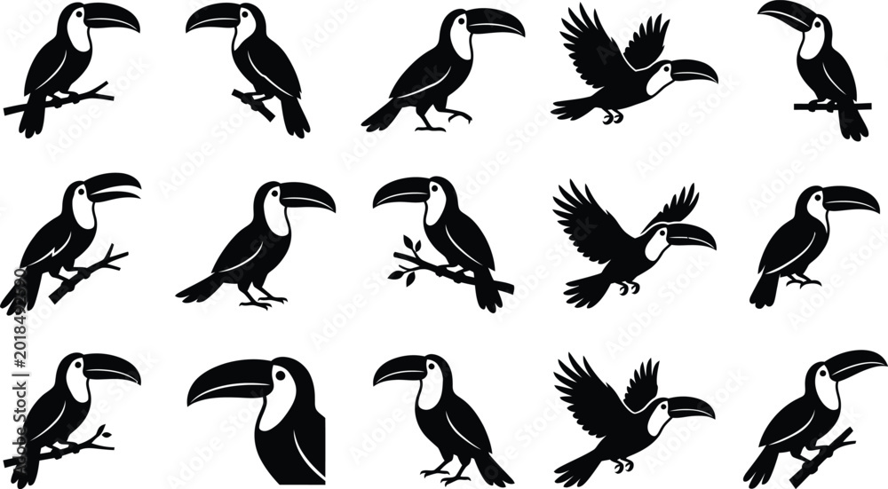 Fototapeta premium Black silhouettes of toucans in various poses on white background, 27 bird