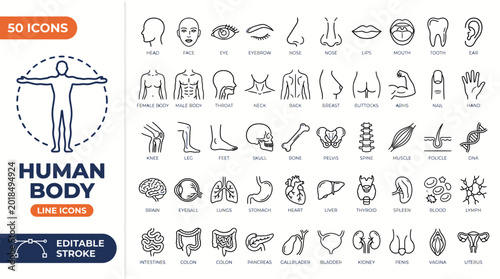 Tableau sur toile Human Body Line Editable Icons set