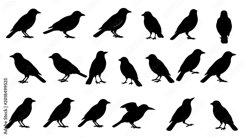 Naklejka premium Black Bird Silhouettes Perched on Branch Against White Background
