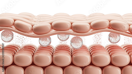 Microscopic illustration of skin layers absorbing serum capsules delivering beneficial ingredients for dermal health and renewal