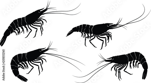 Photos Flat vector illustration of shrimp silhouettes, seafood animal icons, minimal ma