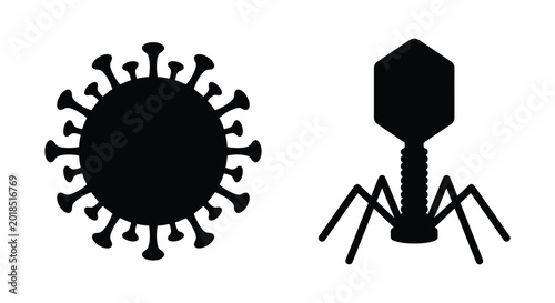 Photos Coronavirus and bacteriophage silhouettes against a white background silhouette