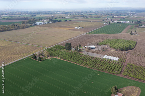 Aerial drone view of rural farmland with houses surrounded by cultivated fields in Oregon USA showing crop, tractor patterns and countryside landscape in Pacific Northwest	
