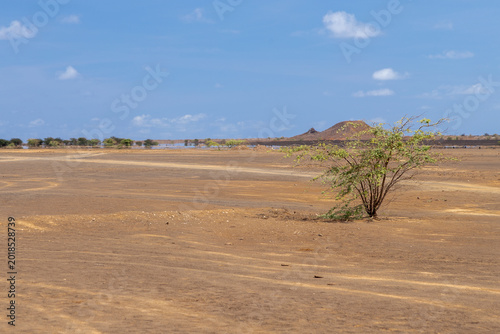 Konstfotografi The Terra Boa (english: Good Land) desert at Sal Island in Cape Verde is a unique, flat, open area in the north of the island that stretches as far as the eye can see