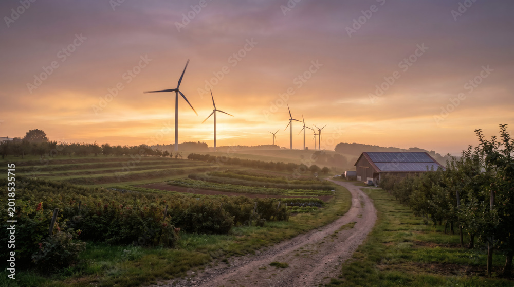 Obraz premium Sustainable farm with wind turbines and solar panels at golden hour