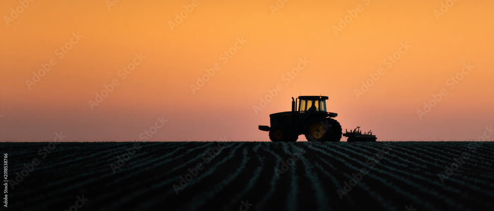 Fototapeta premium Tractor silhouette plowing field at sunset