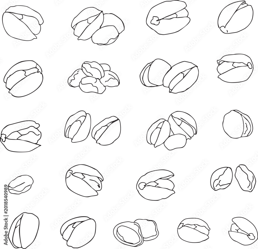 Obraz premium Hand drawn pistachio nuts collection, minimalist line art style, healthy snacks icons isolated on white, vector illustration.