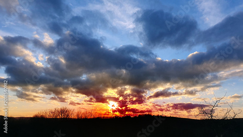 Colorful sunset background with abstract clouds and trees.
