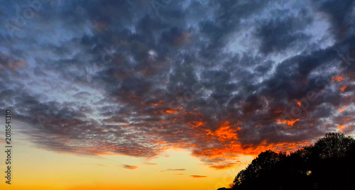 Colorful sunset background with abstract clouds and trees.